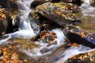 Anna Ruby Falls in north Georgia