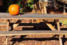 Pumpkin on Picnic Table