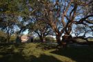 De Soto National Memorial, Florida