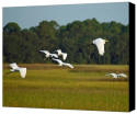 Bruce Gourley Photo Prints For Sale