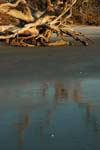 Sunrise on Jekyll Island: Beach Reflections