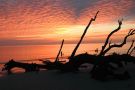 Sunrise at Driftwood Beach on Jekyll Island, Georgia