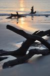 Sunrise at Driftwood Beach on Jekyll Island, Georgia