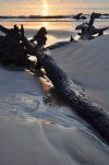 Sunrise at Driftwood Beach on Jekyll Island, Georgia