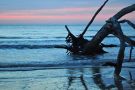 Sunrise at Driftwood Beach on Jekyll Island, Georgia