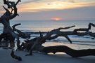 Sunrise at Driftwood Beach on Jekyll Island, Georgia