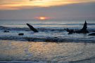 Sunrise at Driftwood Beach on Jekyll Island, Georgia