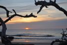 Sunrise at Driftwood Beach on Jekyll Island, Georgia