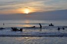 Sunrise at Driftwood Beach on Jekyll Island, Georgia