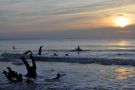 Sunrise at Driftwood Beach on Jekyll Island, Georgia