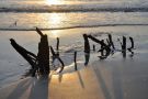 Sunrise at Driftwood Beach on Jekyll Island, Georgia