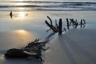 Sunrise at Driftwood Beach on Jekyll Island, Georgia