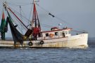 Shrimp Boat off of Jekyll Island, Georgia