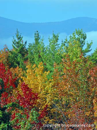 New Hampshire's White Mountains