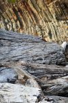 Rock and Driftwood on Olympic National Park Beach, Washington