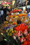 Flowers, Pike Place Market, Seattle, Washington
